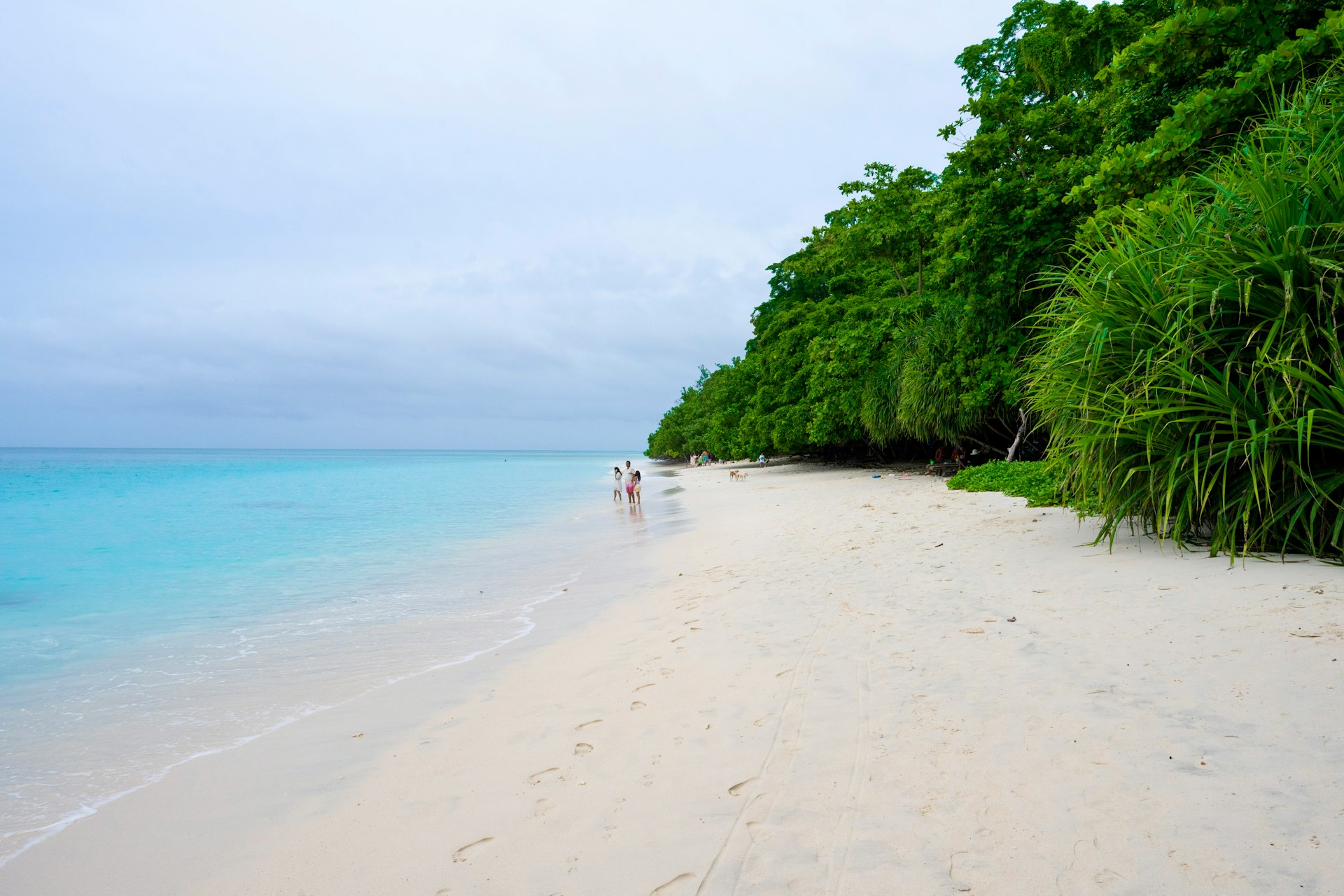 Two people walking on a beach near the ocean